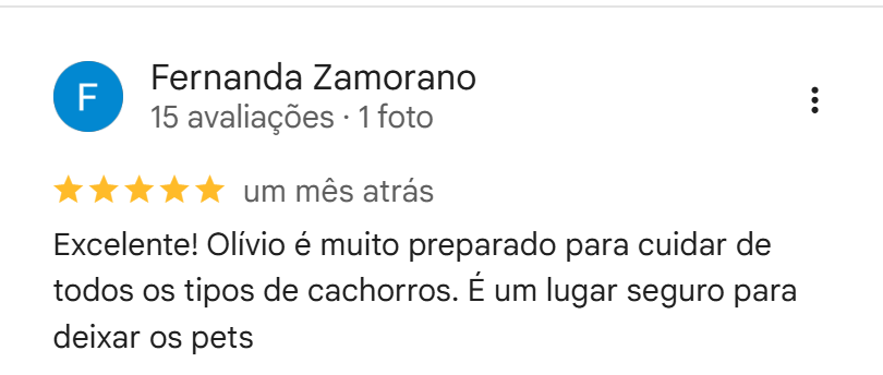 Avaliação de Fernanda Zamorano no Google, 5 estrelas