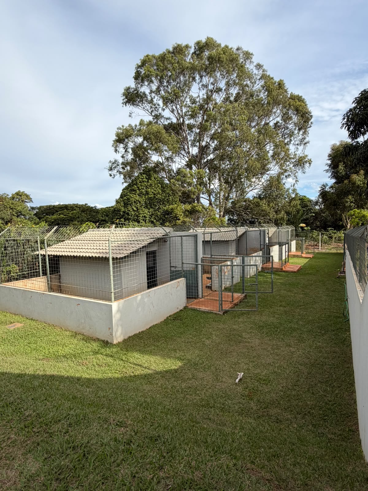 Suítes privativas do hotel Buddy Club em ambiente rural