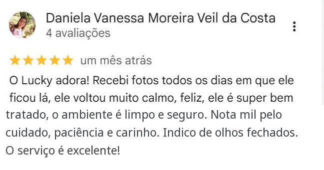 Avaliação de Daniela Vanessa Moreira Veil da Costa no Google, 5 estrelas